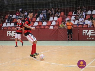 
<a style='margin-left: 5px;' class='btn btn-xs btn-social btn-facebook' href='https://www.facebook.com/sharer/sharer.php?u=https://boladovale.com.br/imgs/800-800-90/conteudo/fotos/1283/img2850.jpg' rel='popup' data-width='500' data-height='400'><i class='fa fa-facebook'></i>Compartilhar <span class='hidden-xs'>no Facebook</span>
</a> 
<a class='btn btn-default btn-xs' target='_blank' href='imgs/800-800-90/conteudo/fotos/1283/img2850.jpg'>
<span class='glyphicon glyphicon-cloud-download'></span> Salvar
</a> 
<span></span>