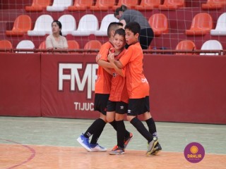 
<a style='margin-left: 5px;' class='btn btn-xs btn-social btn-facebook' href='https://www.facebook.com/sharer/sharer.php?u=https://boladovale.com.br/imgs/800-800-90/conteudo/fotos/1299/img7214.jpg' rel='popup' data-width='500' data-height='400'><i class='fa fa-facebook'></i>Compartilhar <span class='hidden-xs'>no Facebook</span>
</a> 
<a class='btn btn-default btn-xs' target='_blank' href='imgs/800-800-90/conteudo/fotos/1299/img7214.jpg'>
<span class='glyphicon glyphicon-cloud-download'></span> Salvar
</a> 
<span></span>