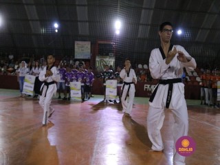 
<a style='margin-left: 5px;' class='btn btn-xs btn-social btn-facebook' href='https://www.facebook.com/sharer/sharer.php?u=https://boladovale.com.br/imgs/800-800-90/conteudo/fotos/1381/img4151.jpg' rel='popup' data-width='500' data-height='400'><i class='fa fa-facebook'></i>Compartilhar <span class='hidden-xs'>no Facebook</span>
</a> 
<a class='btn btn-default btn-xs' target='_blank' href='imgs/800-800-90/conteudo/fotos/1381/img4151.jpg'>
<span class='glyphicon glyphicon-cloud-download'></span> Salvar
</a> 
<span></span>