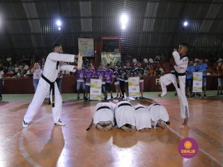 
<a style='margin-left: 5px;' class='btn btn-xs btn-social btn-facebook' href='https://www.facebook.com/sharer/sharer.php?u=https://boladovale.com.br/imgs/800-800-90/conteudo/fotos/1381/img4201.jpg' rel='popup' data-width='500' data-height='400'><i class='fa fa-facebook'></i>Compartilhar <span class='hidden-xs'>no Facebook</span>
</a> 
<a class='btn btn-default btn-xs' target='_blank' href='imgs/800-800-90/conteudo/fotos/1381/img4201.jpg'>
<span class='glyphicon glyphicon-cloud-download'></span> Salvar
</a> 
<span></span>