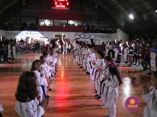 
<a style='margin-left: 5px;' class='btn btn-xs btn-social btn-facebook' href='https://www.facebook.com/sharer/sharer.php?u=https://boladovale.com.br/imgs/800-800-90/conteudo/fotos/1381/img4324.jpg' rel='popup' data-width='500' data-height='400'><i class='fa fa-facebook'></i>Compartilhar <span class='hidden-xs'>no Facebook</span>
</a> 
<a class='btn btn-default btn-xs' target='_blank' href='imgs/800-800-90/conteudo/fotos/1381/img4324.jpg'>
<span class='glyphicon glyphicon-cloud-download'></span> Salvar
</a> 
<span></span>