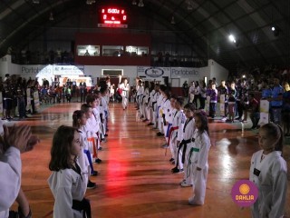 
<a style='margin-left: 5px;' class='btn btn-xs btn-social btn-facebook' href='https://www.facebook.com/sharer/sharer.php?u=https://boladovale.com.br/imgs/800-800-90/conteudo/fotos/1381/img4328.jpg' rel='popup' data-width='500' data-height='400'><i class='fa fa-facebook'></i>Compartilhar <span class='hidden-xs'>no Facebook</span>
</a> 
<a class='btn btn-default btn-xs' target='_blank' href='imgs/800-800-90/conteudo/fotos/1381/img4328.jpg'>
<span class='glyphicon glyphicon-cloud-download'></span> Salvar
</a> 
<span></span>