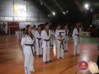 
<a style='margin-left: 5px;' class='btn btn-xs btn-social btn-facebook' href='https://www.facebook.com/sharer/sharer.php?u=https://boladovale.com.br/imgs/800-800-90/conteudo/fotos/1381/img4416.jpg' rel='popup' data-width='500' data-height='400'><i class='fa fa-facebook'></i>Compartilhar <span class='hidden-xs'>no Facebook</span>
</a> 
<a class='btn btn-default btn-xs' target='_blank' href='imgs/800-800-90/conteudo/fotos/1381/img4416.jpg'>
<span class='glyphicon glyphicon-cloud-download'></span> Salvar
</a> 
<span></span>