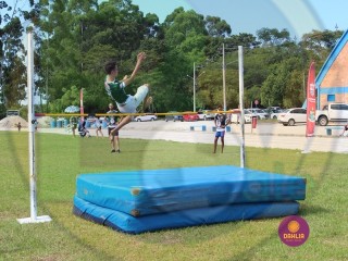 
<a style='margin-left: 5px;' class='btn btn-xs btn-social btn-facebook' href='https://www.facebook.com/sharer/sharer.php?u=https://boladovale.com.br/imgs/800-800-90/conteudo/fotos/1427/img6808.jpg' rel='popup' data-width='500' data-height='400'><i class='fa fa-facebook'></i>Compartilhar <span class='hidden-xs'>no Facebook</span>
</a> 
<a class='btn btn-default btn-xs' target='_blank' href='imgs/800-800-90/conteudo/fotos/1427/img6808.jpg'>
<span class='glyphicon glyphicon-cloud-download'></span> Salvar
</a> 
<span></span>
