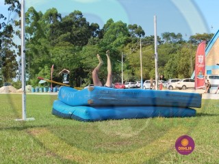 
<a style='margin-left: 5px;' class='btn btn-xs btn-social btn-facebook' href='https://www.facebook.com/sharer/sharer.php?u=https://boladovale.com.br/imgs/800-800-90/conteudo/fotos/1427/img6863.jpg' rel='popup' data-width='500' data-height='400'><i class='fa fa-facebook'></i>Compartilhar <span class='hidden-xs'>no Facebook</span>
</a> 
<a class='btn btn-default btn-xs' target='_blank' href='imgs/800-800-90/conteudo/fotos/1427/img6863.jpg'>
<span class='glyphicon glyphicon-cloud-download'></span> Salvar
</a> 
<span></span>