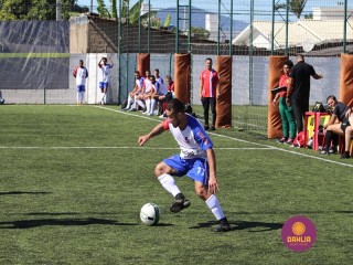 
<a style='margin-left: 5px;' class='btn btn-xs btn-social btn-facebook' href='https://www.facebook.com/sharer/sharer.php?u=https://boladovale.com.br/imgs/800-800-90/conteudo/fotos/1459/img5029.jpg' rel='popup' data-width='500' data-height='400'><i class='fa fa-facebook'></i>Compartilhar <span class='hidden-xs'>no Facebook</span>
</a> 
<a class='btn btn-default btn-xs' target='_blank' href='imgs/800-800-90/conteudo/fotos/1459/img5029.jpg'>
<span class='glyphicon glyphicon-cloud-download'></span> Salvar
</a> 
<span></span>