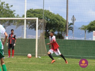 
<a style='margin-left: 5px;' class='btn btn-xs btn-social btn-facebook' href='https://www.facebook.com/sharer/sharer.php?u=https://boladovale.com.br/imgs/800-800-90/conteudo/fotos/1508/img1750.jpg' rel='popup' data-width='500' data-height='400'><i class='fa fa-facebook'></i>Compartilhar <span class='hidden-xs'>no Facebook</span>
</a> 
<a class='btn btn-default btn-xs' target='_blank' href='imgs/800-800-90/conteudo/fotos/1508/img1750.jpg'>
<span class='glyphicon glyphicon-cloud-download'></span> Salvar
</a> 
<span></span>