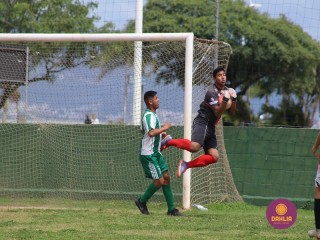 
<a style='margin-left: 5px;' class='btn btn-xs btn-social btn-facebook' href='https://www.facebook.com/sharer/sharer.php?u=https://boladovale.com.br/imgs/800-800-90/conteudo/fotos/1508/img1752.jpg' rel='popup' data-width='500' data-height='400'><i class='fa fa-facebook'></i>Compartilhar <span class='hidden-xs'>no Facebook</span>
</a> 
<a class='btn btn-default btn-xs' target='_blank' href='imgs/800-800-90/conteudo/fotos/1508/img1752.jpg'>
<span class='glyphicon glyphicon-cloud-download'></span> Salvar
</a> 
<span></span>