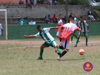 
<a style='margin-left: 5px;' class='btn btn-xs btn-social btn-facebook' href='https://www.facebook.com/sharer/sharer.php?u=https://boladovale.com.br/imgs/800-800-90/conteudo/fotos/1508/img1805.jpg' rel='popup' data-width='500' data-height='400'><i class='fa fa-facebook'></i>Compartilhar <span class='hidden-xs'>no Facebook</span>
</a> 
<a class='btn btn-default btn-xs' target='_blank' href='imgs/800-800-90/conteudo/fotos/1508/img1805.jpg'>
<span class='glyphicon glyphicon-cloud-download'></span> Salvar
</a> 
<span></span>