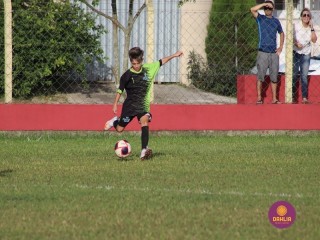 
<a style='margin-left: 5px;' class='btn btn-xs btn-social btn-facebook' href='https://www.facebook.com/sharer/sharer.php?u=https://boladovale.com.br/imgs/800-800-90/conteudo/fotos/1553/img1476.jpg' rel='popup' data-width='500' data-height='400'><i class='fa fa-facebook'></i>Compartilhar <span class='hidden-xs'>no Facebook</span>
</a> 
<a class='btn btn-default btn-xs' target='_blank' href='imgs/800-800-90/conteudo/fotos/1553/img1476.jpg'>
<span class='glyphicon glyphicon-cloud-download'></span> Salvar
</a> 
<span></span>