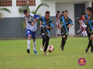 
<a style='margin-left: 5px;' class='btn btn-xs btn-social btn-facebook' href='https://www.facebook.com/sharer/sharer.php?u=https://boladovale.com.br/imgs/800-800-90/conteudo/fotos/1555/img1780.jpg' rel='popup' data-width='500' data-height='400'><i class='fa fa-facebook'></i>Compartilhar <span class='hidden-xs'>no Facebook</span>
</a> 
<a class='btn btn-default btn-xs' target='_blank' href='imgs/800-800-90/conteudo/fotos/1555/img1780.jpg'>
<span class='glyphicon glyphicon-cloud-download'></span> Salvar
</a> 
<span></span>