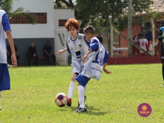 
<a style='margin-left: 5px;' class='btn btn-xs btn-social btn-facebook' href='https://www.facebook.com/sharer/sharer.php?u=https://boladovale.com.br/imgs/800-800-90/conteudo/fotos/1555/img1790.jpg' rel='popup' data-width='500' data-height='400'><i class='fa fa-facebook'></i>Compartilhar <span class='hidden-xs'>no Facebook</span>
</a> 
<a class='btn btn-default btn-xs' target='_blank' href='imgs/800-800-90/conteudo/fotos/1555/img1790.jpg'>
<span class='glyphicon glyphicon-cloud-download'></span> Salvar
</a> 
<span></span>