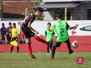 
<a style='margin-left: 5px;' class='btn btn-xs btn-social btn-facebook' href='https://www.facebook.com/sharer/sharer.php?u=https://boladovale.com.br/imgs/800-800-90/conteudo/fotos/1555/img1801.jpg' rel='popup' data-width='500' data-height='400'><i class='fa fa-facebook'></i>Compartilhar <span class='hidden-xs'>no Facebook</span>
</a> 
<a class='btn btn-default btn-xs' target='_blank' href='imgs/800-800-90/conteudo/fotos/1555/img1801.jpg'>
<span class='glyphicon glyphicon-cloud-download'></span> Salvar
</a> 
<span></span>