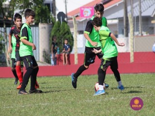 
<a style='margin-left: 5px;' class='btn btn-xs btn-social btn-facebook' href='https://www.facebook.com/sharer/sharer.php?u=https://boladovale.com.br/imgs/800-800-90/conteudo/fotos/1555/img1803.jpg' rel='popup' data-width='500' data-height='400'><i class='fa fa-facebook'></i>Compartilhar <span class='hidden-xs'>no Facebook</span>
</a> 
<a class='btn btn-default btn-xs' target='_blank' href='imgs/800-800-90/conteudo/fotos/1555/img1803.jpg'>
<span class='glyphicon glyphicon-cloud-download'></span> Salvar
</a> 
<span></span>