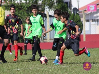 
<a style='margin-left: 5px;' class='btn btn-xs btn-social btn-facebook' href='https://www.facebook.com/sharer/sharer.php?u=https://boladovale.com.br/imgs/800-800-90/conteudo/fotos/1555/img1804.jpg' rel='popup' data-width='500' data-height='400'><i class='fa fa-facebook'></i>Compartilhar <span class='hidden-xs'>no Facebook</span>
</a> 
<a class='btn btn-default btn-xs' target='_blank' href='imgs/800-800-90/conteudo/fotos/1555/img1804.jpg'>
<span class='glyphicon glyphicon-cloud-download'></span> Salvar
</a> 
<span></span>