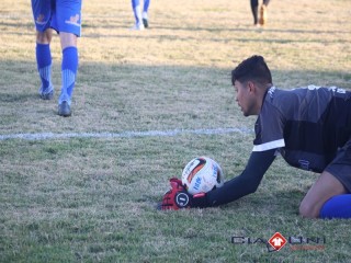 
<a style='margin-left: 5px;' class='btn btn-xs btn-social btn-facebook' href='https://www.facebook.com/sharer/sharer.php?u=https://boladovale.com.br/imgs/800-800-90/conteudo/fotos/1612/img1012.jpg' rel='popup' data-width='500' data-height='400'><i class='fa fa-facebook'></i>Compartilhar <span class='hidden-xs'>no Facebook</span>
</a> 
<a class='btn btn-default btn-xs' target='_blank' href='imgs/800-800-90/conteudo/fotos/1612/img1012.jpg'>
<span class='glyphicon glyphicon-cloud-download'></span> Salvar
</a> 
<span></span>