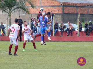 
<a style='margin-left: 5px;' class='btn btn-xs btn-social btn-facebook' href='https://www.facebook.com/sharer/sharer.php?u=https://boladovale.com.br/imgs/800-800-90/conteudo/fotos/1614/img0760.jpg' rel='popup' data-width='500' data-height='400'><i class='fa fa-facebook'></i>Compartilhar <span class='hidden-xs'>no Facebook</span>
</a> 
<a class='btn btn-default btn-xs' target='_blank' href='imgs/800-800-90/conteudo/fotos/1614/img0760.jpg'>
<span class='glyphicon glyphicon-cloud-download'></span> Salvar
</a> 
<span></span>