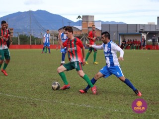 
<a style='margin-left: 5px;' class='btn btn-xs btn-social btn-facebook' href='https://www.facebook.com/sharer/sharer.php?u=https://boladovale.com.br/imgs/800-800-90/conteudo/fotos/1620/img2438.jpg' rel='popup' data-width='500' data-height='400'><i class='fa fa-facebook'></i>Compartilhar <span class='hidden-xs'>no Facebook</span>
</a> 
<a class='btn btn-default btn-xs' target='_blank' href='imgs/800-800-90/conteudo/fotos/1620/img2438.jpg'>
<span class='glyphicon glyphicon-cloud-download'></span> Salvar
</a> 
<span></span>