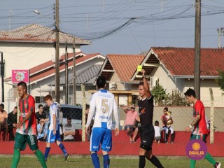 
<a style='margin-left: 5px;' class='btn btn-xs btn-social btn-facebook' href='https://www.facebook.com/sharer/sharer.php?u=https://boladovale.com.br/imgs/800-800-90/conteudo/fotos/1629/img4056.jpg' rel='popup' data-width='500' data-height='400'><i class='fa fa-facebook'></i>Compartilhar <span class='hidden-xs'>no Facebook</span>
</a> 
<a class='btn btn-default btn-xs' target='_blank' href='imgs/800-800-90/conteudo/fotos/1629/img4056.jpg'>
<span class='glyphicon glyphicon-cloud-download'></span> Salvar
</a> 
<span></span>