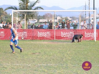 
<a style='margin-left: 5px;' class='btn btn-xs btn-social btn-facebook' href='https://www.facebook.com/sharer/sharer.php?u=https://boladovale.com.br/imgs/800-800-90/conteudo/fotos/1629/img4198.jpg' rel='popup' data-width='500' data-height='400'><i class='fa fa-facebook'></i>Compartilhar <span class='hidden-xs'>no Facebook</span>
</a> 
<a class='btn btn-default btn-xs' target='_blank' href='imgs/800-800-90/conteudo/fotos/1629/img4198.jpg'>
<span class='glyphicon glyphicon-cloud-download'></span> Salvar
</a> 
<span></span>