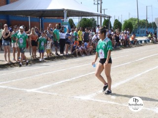 
<a style='margin-left: 5px;' class='btn btn-xs btn-social btn-facebook' href='https://www.facebook.com/sharer/sharer.php?u=https://boladovale.com.br/imgs/800-800-90/conteudo/fotos/1737/img8691.jpg' rel='popup' data-width='500' data-height='400'><i class='fa fa-facebook'></i>Compartilhar <span class='hidden-xs'>no Facebook</span>
</a> 
<a class='btn btn-default btn-xs' target='_blank' href='imgs/800-800-90/conteudo/fotos/1737/img8691.jpg'>
<span class='glyphicon glyphicon-cloud-download'></span> Salvar
</a> 
<span></span>