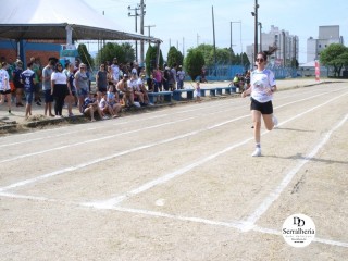 
<a style='margin-left: 5px;' class='btn btn-xs btn-social btn-facebook' href='https://www.facebook.com/sharer/sharer.php?u=https://boladovale.com.br/imgs/800-800-90/conteudo/fotos/1737/img8719.jpg' rel='popup' data-width='500' data-height='400'><i class='fa fa-facebook'></i>Compartilhar <span class='hidden-xs'>no Facebook</span>
</a> 
<a class='btn btn-default btn-xs' target='_blank' href='imgs/800-800-90/conteudo/fotos/1737/img8719.jpg'>
<span class='glyphicon glyphicon-cloud-download'></span> Salvar
</a> 
<span></span>