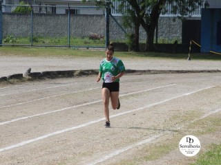 
<a style='margin-left: 5px;' class='btn btn-xs btn-social btn-facebook' href='https://www.facebook.com/sharer/sharer.php?u=https://boladovale.com.br/imgs/800-800-90/conteudo/fotos/1737/img9351.jpg' rel='popup' data-width='500' data-height='400'><i class='fa fa-facebook'></i>Compartilhar <span class='hidden-xs'>no Facebook</span>
</a> 
<a class='btn btn-default btn-xs' target='_blank' href='imgs/800-800-90/conteudo/fotos/1737/img9351.jpg'>
<span class='glyphicon glyphicon-cloud-download'></span> Salvar
</a> 
<span></span>