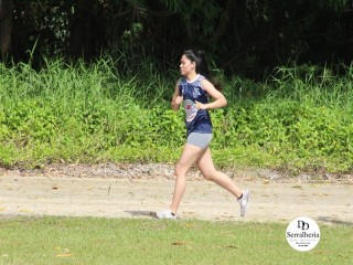 
<a style='margin-left: 5px;' class='btn btn-xs btn-social btn-facebook' href='https://www.facebook.com/sharer/sharer.php?u=https://boladovale.com.br/imgs/800-800-90/conteudo/fotos/1737/img9374.jpg' rel='popup' data-width='500' data-height='400'><i class='fa fa-facebook'></i>Compartilhar <span class='hidden-xs'>no Facebook</span>
</a> 
<a class='btn btn-default btn-xs' target='_blank' href='imgs/800-800-90/conteudo/fotos/1737/img9374.jpg'>
<span class='glyphicon glyphicon-cloud-download'></span> Salvar
</a> 
<span></span>