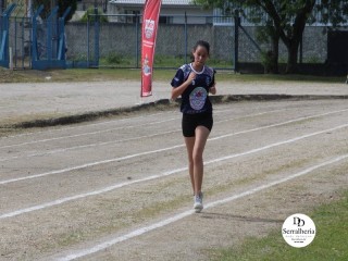 
<a style='margin-left: 5px;' class='btn btn-xs btn-social btn-facebook' href='https://www.facebook.com/sharer/sharer.php?u=https://boladovale.com.br/imgs/800-800-90/conteudo/fotos/1737/img9426.jpg' rel='popup' data-width='500' data-height='400'><i class='fa fa-facebook'></i>Compartilhar <span class='hidden-xs'>no Facebook</span>
</a> 
<a class='btn btn-default btn-xs' target='_blank' href='imgs/800-800-90/conteudo/fotos/1737/img9426.jpg'>
<span class='glyphicon glyphicon-cloud-download'></span> Salvar
</a> 
<span></span>