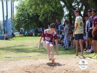 
<a style='margin-left: 5px;' class='btn btn-xs btn-social btn-facebook' href='https://www.facebook.com/sharer/sharer.php?u=https://boladovale.com.br/imgs/800-800-90/conteudo/fotos/1740/img9082.jpg' rel='popup' data-width='500' data-height='400'><i class='fa fa-facebook'></i>Compartilhar <span class='hidden-xs'>no Facebook</span>
</a> 
<a class='btn btn-default btn-xs' target='_blank' href='imgs/800-800-90/conteudo/fotos/1740/img9082.jpg'>
<span class='glyphicon glyphicon-cloud-download'></span> Salvar
</a> 
<span></span>