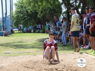 
<a style='margin-left: 5px;' class='btn btn-xs btn-social btn-facebook' href='https://www.facebook.com/sharer/sharer.php?u=https://boladovale.com.br/imgs/800-800-90/conteudo/fotos/1740/img9083.jpg' rel='popup' data-width='500' data-height='400'><i class='fa fa-facebook'></i>Compartilhar <span class='hidden-xs'>no Facebook</span>
</a> 
<a class='btn btn-default btn-xs' target='_blank' href='imgs/800-800-90/conteudo/fotos/1740/img9083.jpg'>
<span class='glyphicon glyphicon-cloud-download'></span> Salvar
</a> 
<span></span>