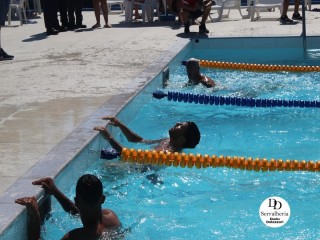 
<a style='margin-left: 5px;' class='btn btn-xs btn-social btn-facebook' href='https://www.facebook.com/sharer/sharer.php?u=https://boladovale.com.br/imgs/800-800-90/conteudo/fotos/1765/img1438-101.jpg' rel='popup' data-width='500' data-height='400'><i class='fa fa-facebook'></i>Compartilhar <span class='hidden-xs'>no Facebook</span>
</a> 
<a class='btn btn-default btn-xs' target='_blank' href='imgs/800-800-90/conteudo/fotos/1765/img1438-101.jpg'>
<span class='glyphicon glyphicon-cloud-download'></span> Salvar
</a> 
<span></span>