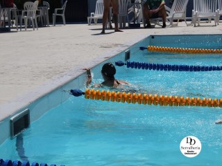 
<a style='margin-left: 5px;' class='btn btn-xs btn-social btn-facebook' href='https://www.facebook.com/sharer/sharer.php?u=https://boladovale.com.br/imgs/800-800-90/conteudo/fotos/1765/img1438-12.jpg' rel='popup' data-width='500' data-height='400'><i class='fa fa-facebook'></i>Compartilhar <span class='hidden-xs'>no Facebook</span>
</a> 
<a class='btn btn-default btn-xs' target='_blank' href='imgs/800-800-90/conteudo/fotos/1765/img1438-12.jpg'>
<span class='glyphicon glyphicon-cloud-download'></span> Salvar
</a> 
<span></span>