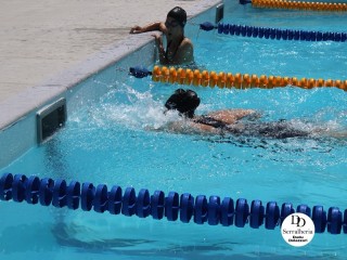 
<a style='margin-left: 5px;' class='btn btn-xs btn-social btn-facebook' href='https://www.facebook.com/sharer/sharer.php?u=https://boladovale.com.br/imgs/800-800-90/conteudo/fotos/1765/img1438-13.jpg' rel='popup' data-width='500' data-height='400'><i class='fa fa-facebook'></i>Compartilhar <span class='hidden-xs'>no Facebook</span>
</a> 
<a class='btn btn-default btn-xs' target='_blank' href='imgs/800-800-90/conteudo/fotos/1765/img1438-13.jpg'>
<span class='glyphicon glyphicon-cloud-download'></span> Salvar
</a> 
<span></span>