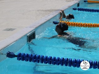 
<a style='margin-left: 5px;' class='btn btn-xs btn-social btn-facebook' href='https://www.facebook.com/sharer/sharer.php?u=https://boladovale.com.br/imgs/800-800-90/conteudo/fotos/1765/img1438-14.jpg' rel='popup' data-width='500' data-height='400'><i class='fa fa-facebook'></i>Compartilhar <span class='hidden-xs'>no Facebook</span>
</a> 
<a class='btn btn-default btn-xs' target='_blank' href='imgs/800-800-90/conteudo/fotos/1765/img1438-14.jpg'>
<span class='glyphicon glyphicon-cloud-download'></span> Salvar
</a> 
<span></span>