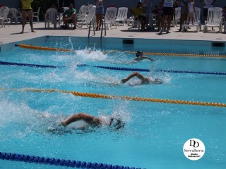 
<a style='margin-left: 5px;' class='btn btn-xs btn-social btn-facebook' href='https://www.facebook.com/sharer/sharer.php?u=https://boladovale.com.br/imgs/800-800-90/conteudo/fotos/1765/img1438-2.jpg' rel='popup' data-width='500' data-height='400'><i class='fa fa-facebook'></i>Compartilhar <span class='hidden-xs'>no Facebook</span>
</a> 
<a class='btn btn-default btn-xs' target='_blank' href='imgs/800-800-90/conteudo/fotos/1765/img1438-2.jpg'>
<span class='glyphicon glyphicon-cloud-download'></span> Salvar
</a> 
<span></span>