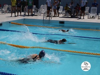 
<a style='margin-left: 5px;' class='btn btn-xs btn-social btn-facebook' href='https://www.facebook.com/sharer/sharer.php?u=https://boladovale.com.br/imgs/800-800-90/conteudo/fotos/1765/img1438-23.jpg' rel='popup' data-width='500' data-height='400'><i class='fa fa-facebook'></i>Compartilhar <span class='hidden-xs'>no Facebook</span>
</a> 
<a class='btn btn-default btn-xs' target='_blank' href='imgs/800-800-90/conteudo/fotos/1765/img1438-23.jpg'>
<span class='glyphicon glyphicon-cloud-download'></span> Salvar
</a> 
<span></span>