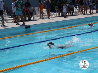 
<a style='margin-left: 5px;' class='btn btn-xs btn-social btn-facebook' href='https://www.facebook.com/sharer/sharer.php?u=https://boladovale.com.br/imgs/800-800-90/conteudo/fotos/1765/img1438-28.jpg' rel='popup' data-width='500' data-height='400'><i class='fa fa-facebook'></i>Compartilhar <span class='hidden-xs'>no Facebook</span>
</a> 
<a class='btn btn-default btn-xs' target='_blank' href='imgs/800-800-90/conteudo/fotos/1765/img1438-28.jpg'>
<span class='glyphicon glyphicon-cloud-download'></span> Salvar
</a> 
<span></span>