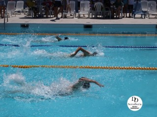 
<a style='margin-left: 5px;' class='btn btn-xs btn-social btn-facebook' href='https://www.facebook.com/sharer/sharer.php?u=https://boladovale.com.br/imgs/800-800-90/conteudo/fotos/1765/img1438-3.jpg' rel='popup' data-width='500' data-height='400'><i class='fa fa-facebook'></i>Compartilhar <span class='hidden-xs'>no Facebook</span>
</a> 
<a class='btn btn-default btn-xs' target='_blank' href='imgs/800-800-90/conteudo/fotos/1765/img1438-3.jpg'>
<span class='glyphicon glyphicon-cloud-download'></span> Salvar
</a> 
<span></span>