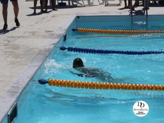 
<a style='margin-left: 5px;' class='btn btn-xs btn-social btn-facebook' href='https://www.facebook.com/sharer/sharer.php?u=https://boladovale.com.br/imgs/800-800-90/conteudo/fotos/1765/img1438-30.jpg' rel='popup' data-width='500' data-height='400'><i class='fa fa-facebook'></i>Compartilhar <span class='hidden-xs'>no Facebook</span>
</a> 
<a class='btn btn-default btn-xs' target='_blank' href='imgs/800-800-90/conteudo/fotos/1765/img1438-30.jpg'>
<span class='glyphicon glyphicon-cloud-download'></span> Salvar
</a> 
<span></span>