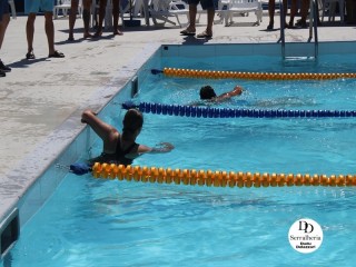 
<a style='margin-left: 5px;' class='btn btn-xs btn-social btn-facebook' href='https://www.facebook.com/sharer/sharer.php?u=https://boladovale.com.br/imgs/800-800-90/conteudo/fotos/1765/img1438-31.jpg' rel='popup' data-width='500' data-height='400'><i class='fa fa-facebook'></i>Compartilhar <span class='hidden-xs'>no Facebook</span>
</a> 
<a class='btn btn-default btn-xs' target='_blank' href='imgs/800-800-90/conteudo/fotos/1765/img1438-31.jpg'>
<span class='glyphicon glyphicon-cloud-download'></span> Salvar
</a> 
<span></span>