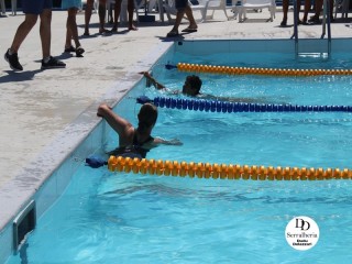 
<a style='margin-left: 5px;' class='btn btn-xs btn-social btn-facebook' href='https://www.facebook.com/sharer/sharer.php?u=https://boladovale.com.br/imgs/800-800-90/conteudo/fotos/1765/img1438-32.jpg' rel='popup' data-width='500' data-height='400'><i class='fa fa-facebook'></i>Compartilhar <span class='hidden-xs'>no Facebook</span>
</a> 
<a class='btn btn-default btn-xs' target='_blank' href='imgs/800-800-90/conteudo/fotos/1765/img1438-32.jpg'>
<span class='glyphicon glyphicon-cloud-download'></span> Salvar
</a> 
<span></span>