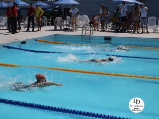 
<a style='margin-left: 5px;' class='btn btn-xs btn-social btn-facebook' href='https://www.facebook.com/sharer/sharer.php?u=https://boladovale.com.br/imgs/800-800-90/conteudo/fotos/1765/img1438-40.jpg' rel='popup' data-width='500' data-height='400'><i class='fa fa-facebook'></i>Compartilhar <span class='hidden-xs'>no Facebook</span>
</a> 
<a class='btn btn-default btn-xs' target='_blank' href='imgs/800-800-90/conteudo/fotos/1765/img1438-40.jpg'>
<span class='glyphicon glyphicon-cloud-download'></span> Salvar
</a> 
<span></span>