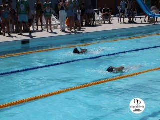 
<a style='margin-left: 5px;' class='btn btn-xs btn-social btn-facebook' href='https://www.facebook.com/sharer/sharer.php?u=https://boladovale.com.br/imgs/800-800-90/conteudo/fotos/1765/img1438-44.jpg' rel='popup' data-width='500' data-height='400'><i class='fa fa-facebook'></i>Compartilhar <span class='hidden-xs'>no Facebook</span>
</a> 
<a class='btn btn-default btn-xs' target='_blank' href='imgs/800-800-90/conteudo/fotos/1765/img1438-44.jpg'>
<span class='glyphicon glyphicon-cloud-download'></span> Salvar
</a> 
<span></span>