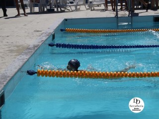 
<a style='margin-left: 5px;' class='btn btn-xs btn-social btn-facebook' href='https://www.facebook.com/sharer/sharer.php?u=https://boladovale.com.br/imgs/800-800-90/conteudo/fotos/1765/img1438-45.jpg' rel='popup' data-width='500' data-height='400'><i class='fa fa-facebook'></i>Compartilhar <span class='hidden-xs'>no Facebook</span>
</a> 
<a class='btn btn-default btn-xs' target='_blank' href='imgs/800-800-90/conteudo/fotos/1765/img1438-45.jpg'>
<span class='glyphicon glyphicon-cloud-download'></span> Salvar
</a> 
<span></span>