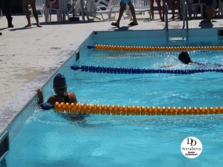 
<a style='margin-left: 5px;' class='btn btn-xs btn-social btn-facebook' href='https://www.facebook.com/sharer/sharer.php?u=https://boladovale.com.br/imgs/800-800-90/conteudo/fotos/1765/img1438-46.jpg' rel='popup' data-width='500' data-height='400'><i class='fa fa-facebook'></i>Compartilhar <span class='hidden-xs'>no Facebook</span>
</a> 
<a class='btn btn-default btn-xs' target='_blank' href='imgs/800-800-90/conteudo/fotos/1765/img1438-46.jpg'>
<span class='glyphicon glyphicon-cloud-download'></span> Salvar
</a> 
<span></span>