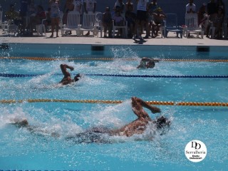 
<a style='margin-left: 5px;' class='btn btn-xs btn-social btn-facebook' href='https://www.facebook.com/sharer/sharer.php?u=https://boladovale.com.br/imgs/800-800-90/conteudo/fotos/1765/img1438-61.jpg' rel='popup' data-width='500' data-height='400'><i class='fa fa-facebook'></i>Compartilhar <span class='hidden-xs'>no Facebook</span>
</a> 
<a class='btn btn-default btn-xs' target='_blank' href='imgs/800-800-90/conteudo/fotos/1765/img1438-61.jpg'>
<span class='glyphicon glyphicon-cloud-download'></span> Salvar
</a> 
<span></span>