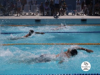 
<a style='margin-left: 5px;' class='btn btn-xs btn-social btn-facebook' href='https://www.facebook.com/sharer/sharer.php?u=https://boladovale.com.br/imgs/800-800-90/conteudo/fotos/1765/img1438-62.jpg' rel='popup' data-width='500' data-height='400'><i class='fa fa-facebook'></i>Compartilhar <span class='hidden-xs'>no Facebook</span>
</a> 
<a class='btn btn-default btn-xs' target='_blank' href='imgs/800-800-90/conteudo/fotos/1765/img1438-62.jpg'>
<span class='glyphicon glyphicon-cloud-download'></span> Salvar
</a> 
<span></span>