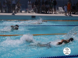 
<a style='margin-left: 5px;' class='btn btn-xs btn-social btn-facebook' href='https://www.facebook.com/sharer/sharer.php?u=https://boladovale.com.br/imgs/800-800-90/conteudo/fotos/1765/img1438-63.jpg' rel='popup' data-width='500' data-height='400'><i class='fa fa-facebook'></i>Compartilhar <span class='hidden-xs'>no Facebook</span>
</a> 
<a class='btn btn-default btn-xs' target='_blank' href='imgs/800-800-90/conteudo/fotos/1765/img1438-63.jpg'>
<span class='glyphicon glyphicon-cloud-download'></span> Salvar
</a> 
<span></span>