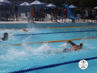 
<a style='margin-left: 5px;' class='btn btn-xs btn-social btn-facebook' href='https://www.facebook.com/sharer/sharer.php?u=https://boladovale.com.br/imgs/800-800-90/conteudo/fotos/1765/img1438-64.jpg' rel='popup' data-width='500' data-height='400'><i class='fa fa-facebook'></i>Compartilhar <span class='hidden-xs'>no Facebook</span>
</a> 
<a class='btn btn-default btn-xs' target='_blank' href='imgs/800-800-90/conteudo/fotos/1765/img1438-64.jpg'>
<span class='glyphicon glyphicon-cloud-download'></span> Salvar
</a> 
<span></span>